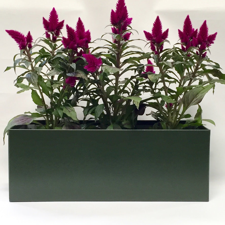Juniper Green Metal Window Box Planter – 94.5cm Long  Balcony & Windowsill Planter
