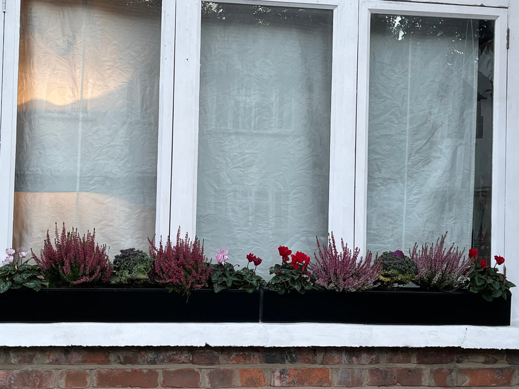 Window with white frame and floral window box on a brick wall