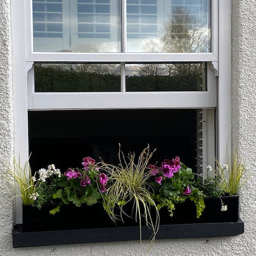 Window box with flowers and plants on a white wall