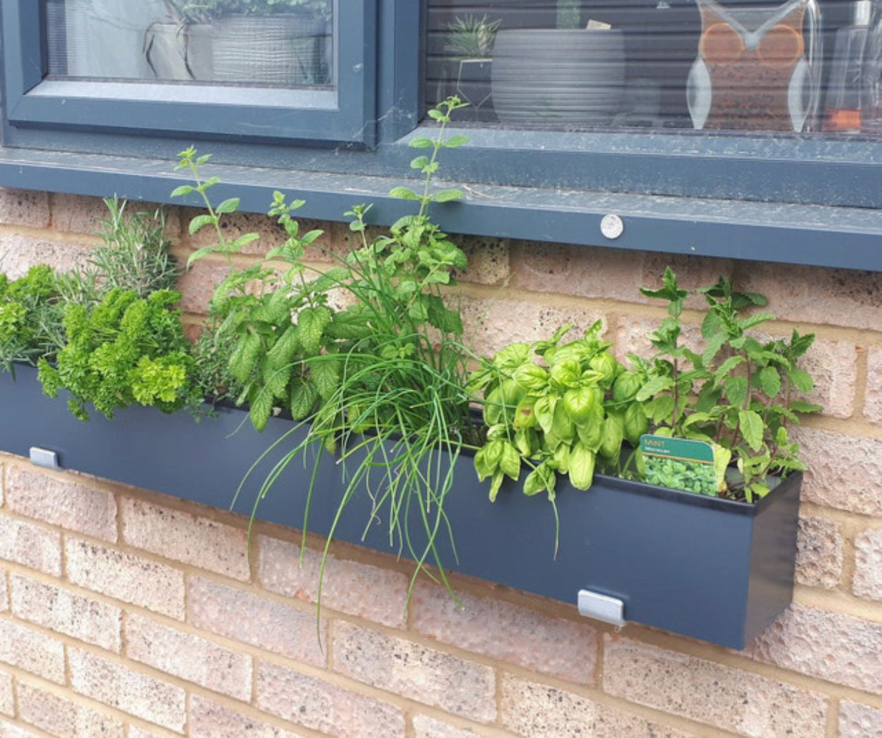 Herb garden in a window box on a brick wall